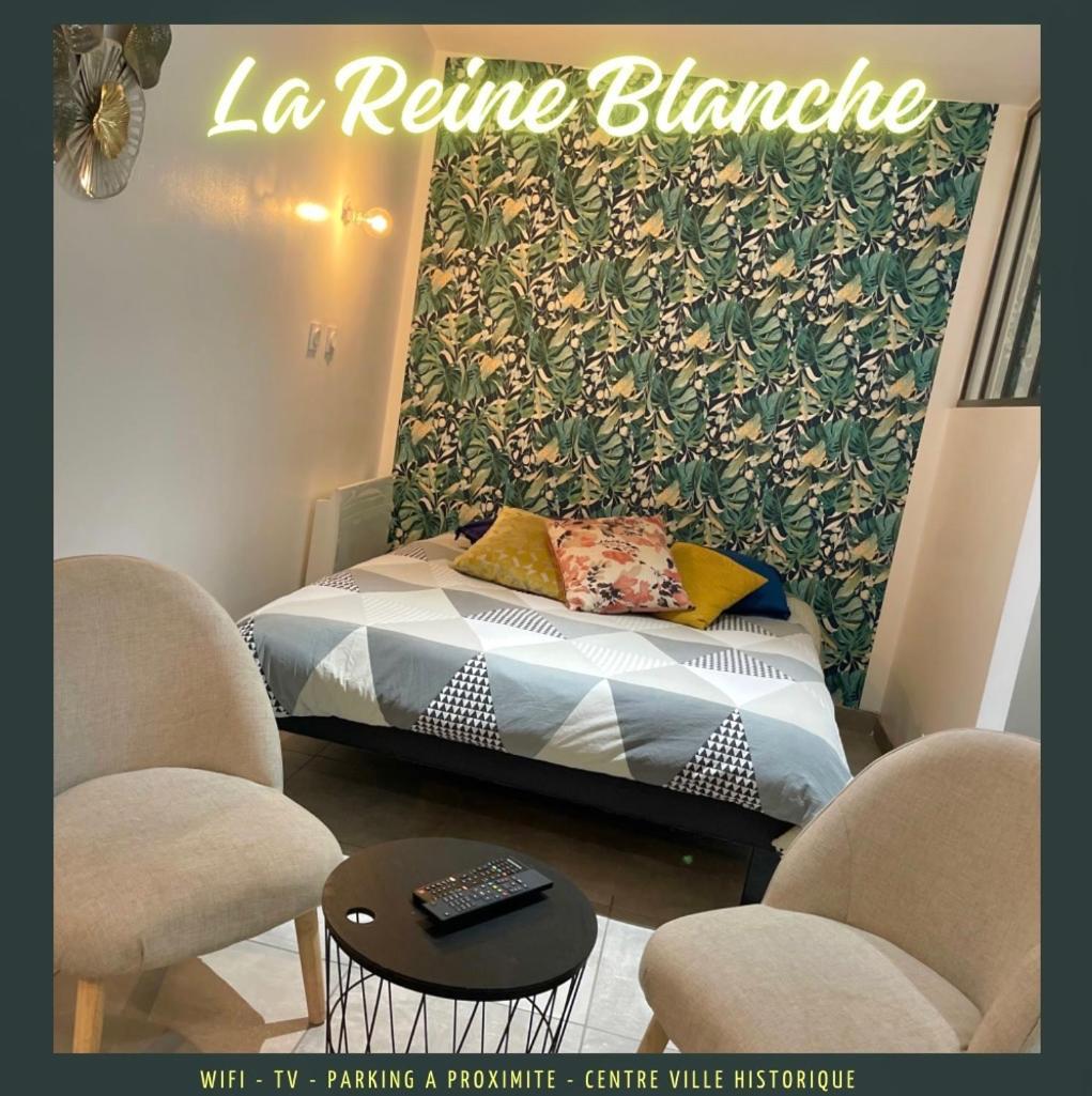Studio La Reine Blanche - 4Pers - Rdc Apartment Bourges Ngoại thất bức ảnh